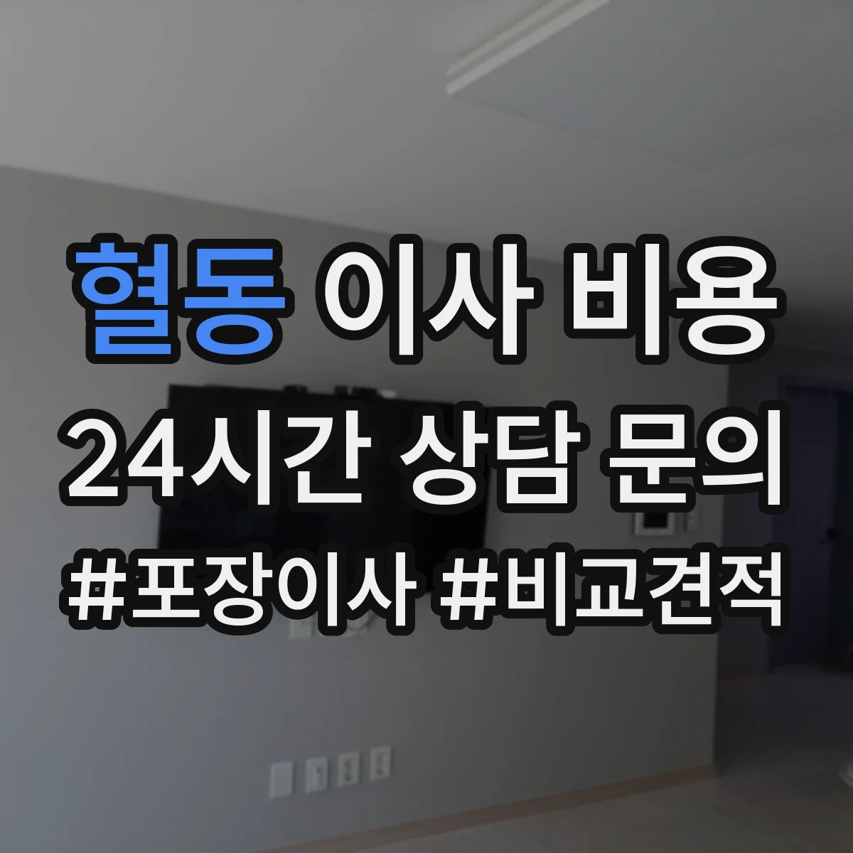 혈동 이사 비용