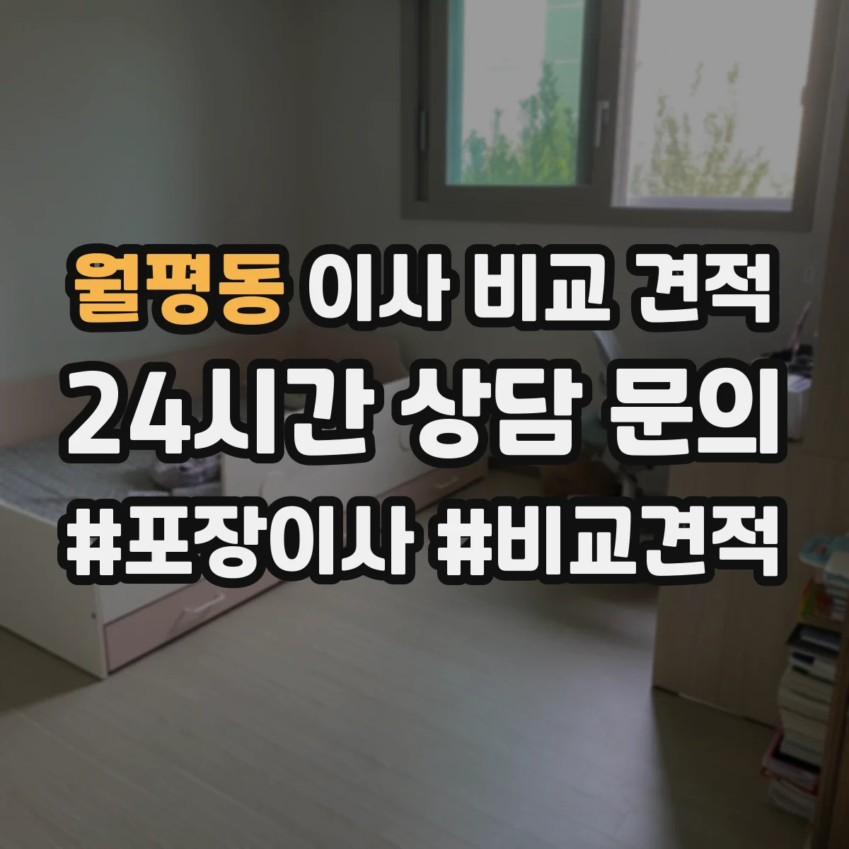 월평동 이사 비교 견적