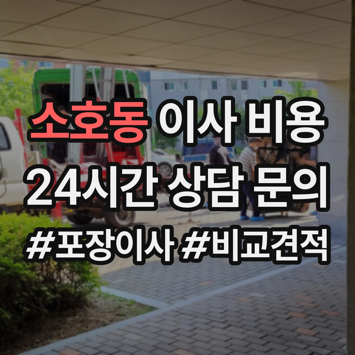 소호동 이사 비용