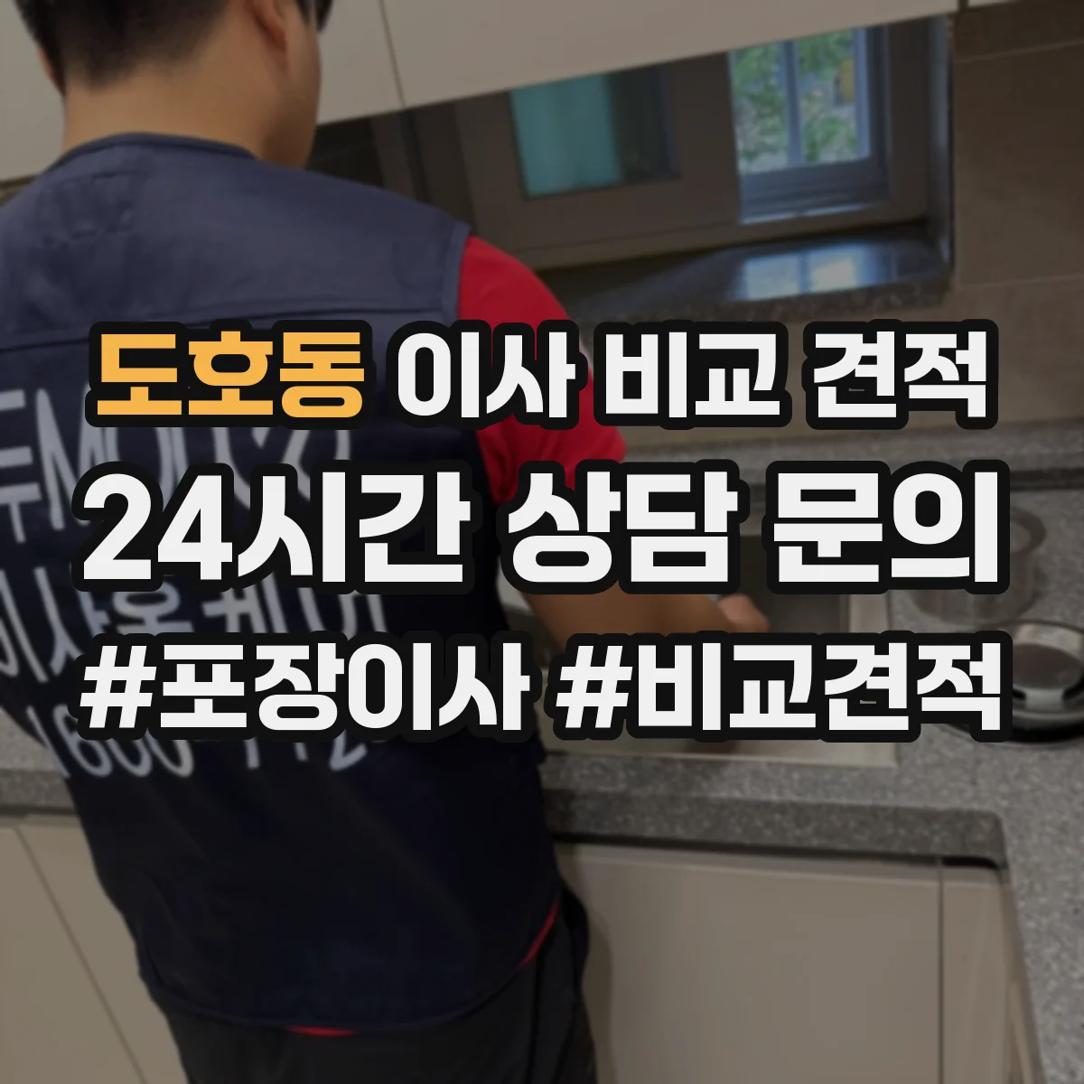 도호동 이사 비교 견적