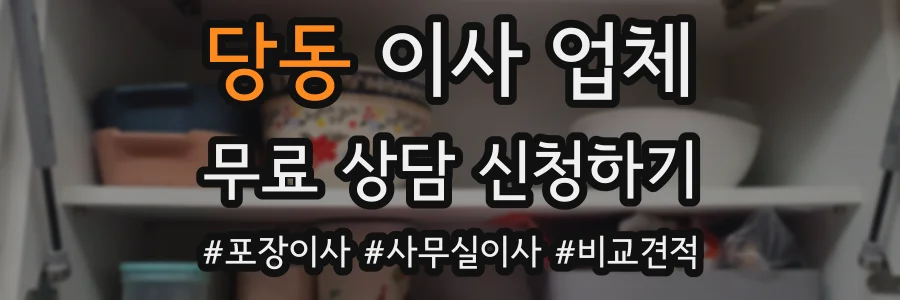 당동 이사 업체