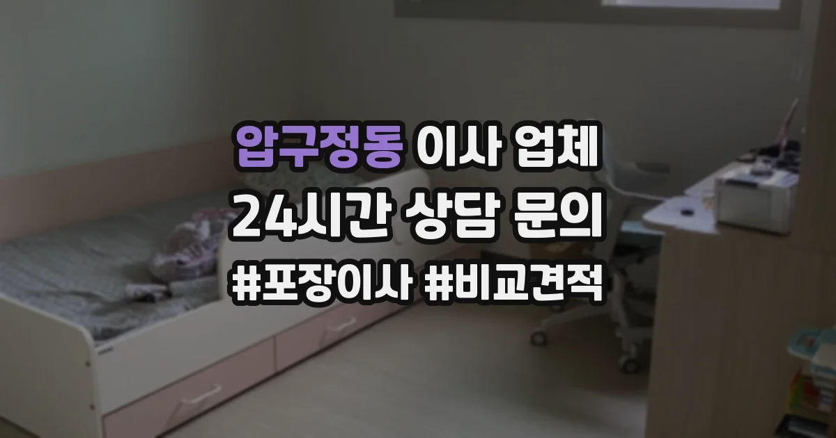 압구정동 이사 업체