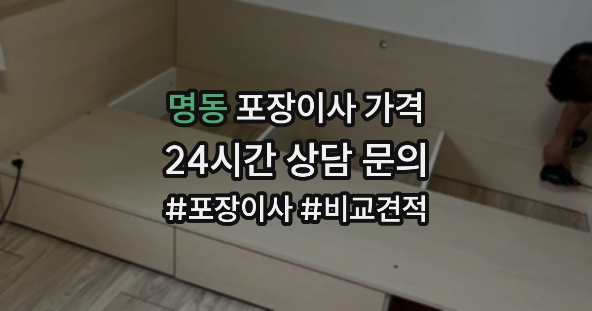 명동 포장이사 가격