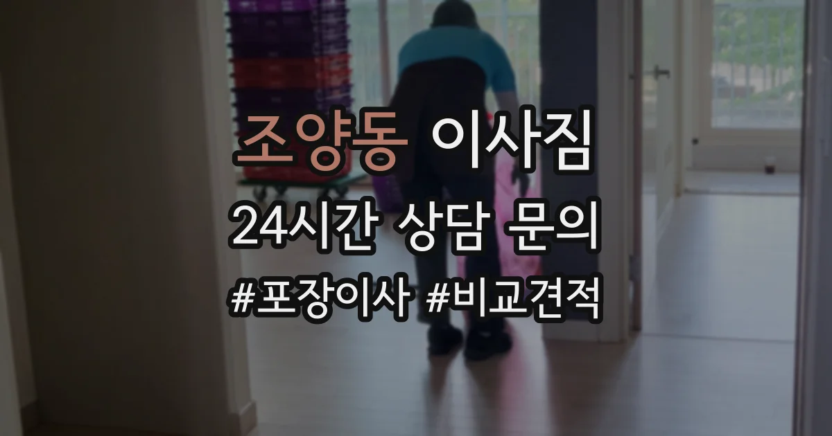 조양동 이사짐