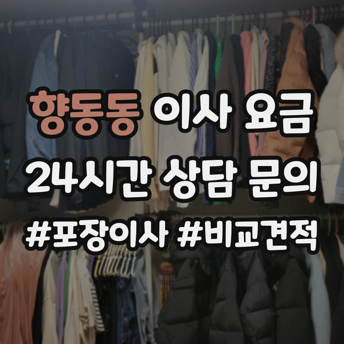 향동동 이사 요금