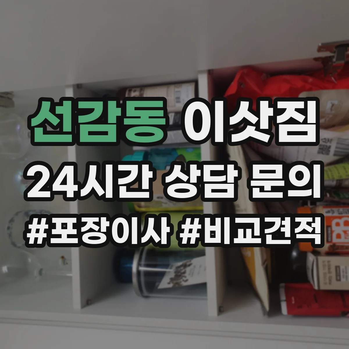 선감동 이삿짐