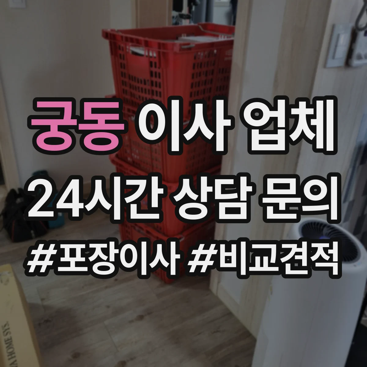 궁동 이사 업체