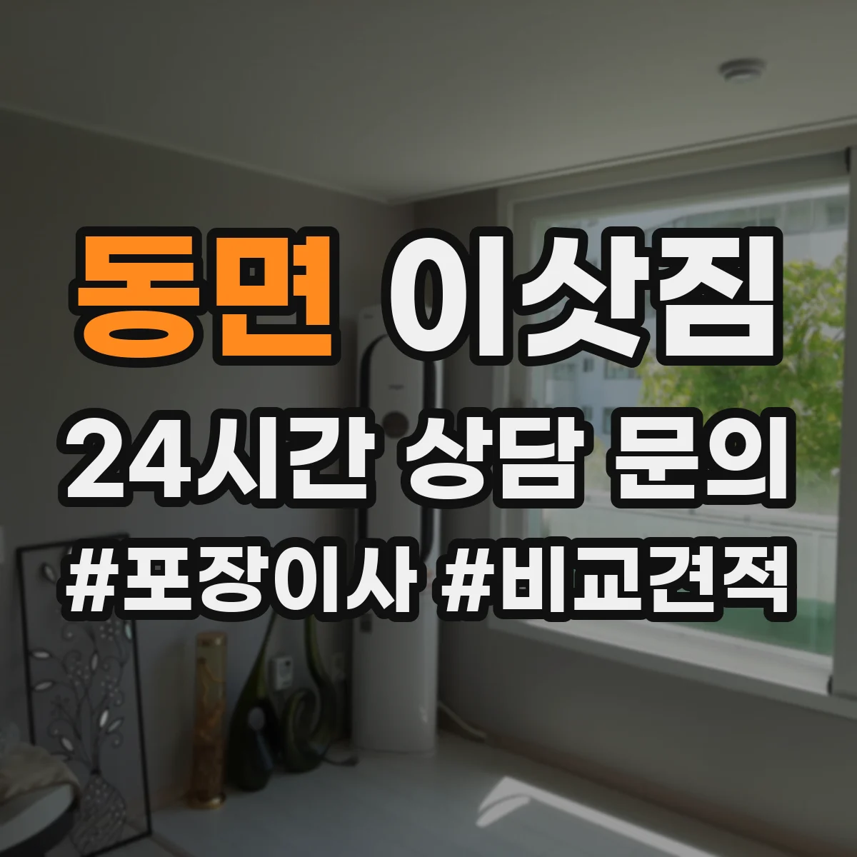 동면 이삿짐