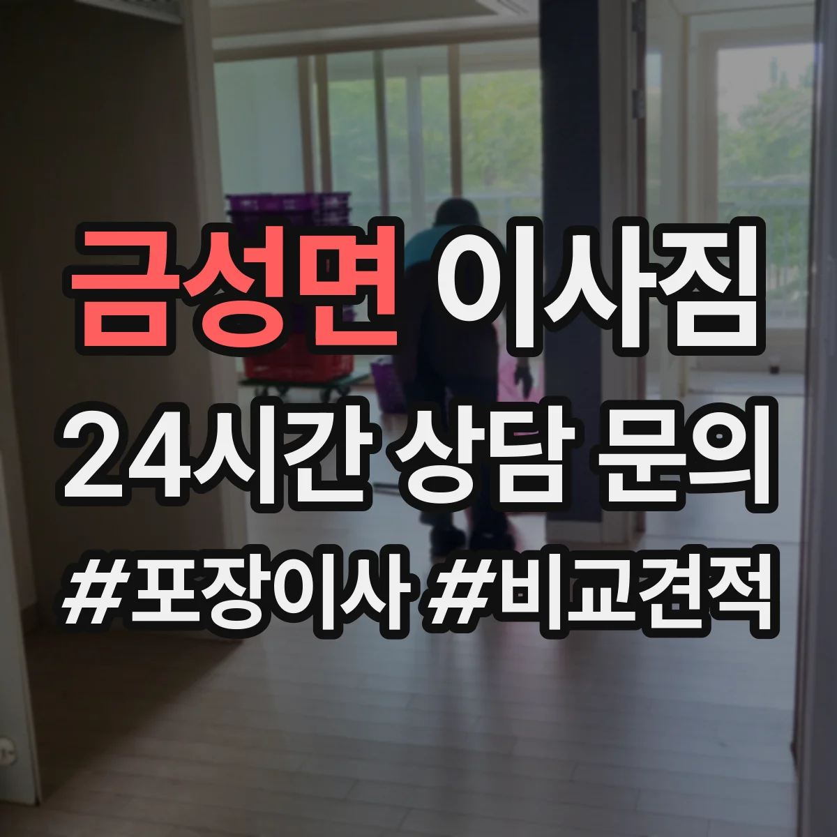 금성면 이사짐