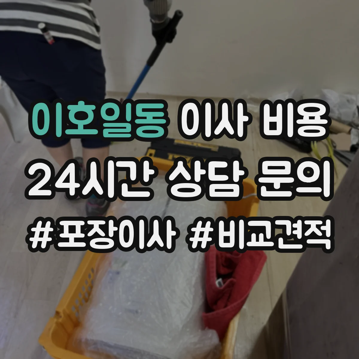 이호일동 이사 비용
