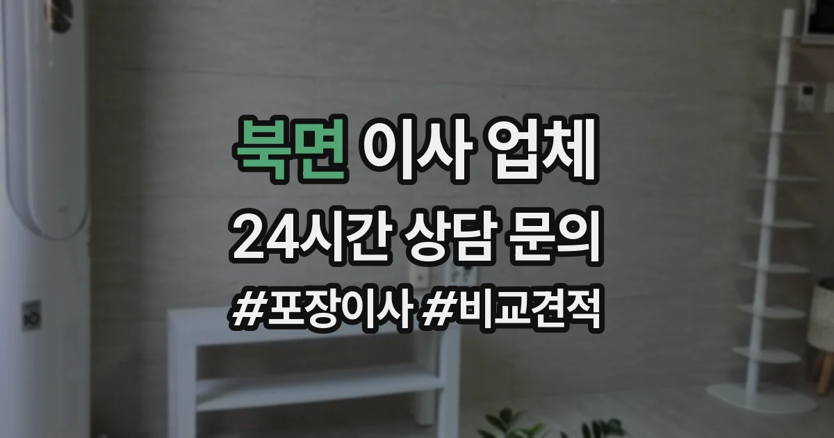 북면 이사 업체