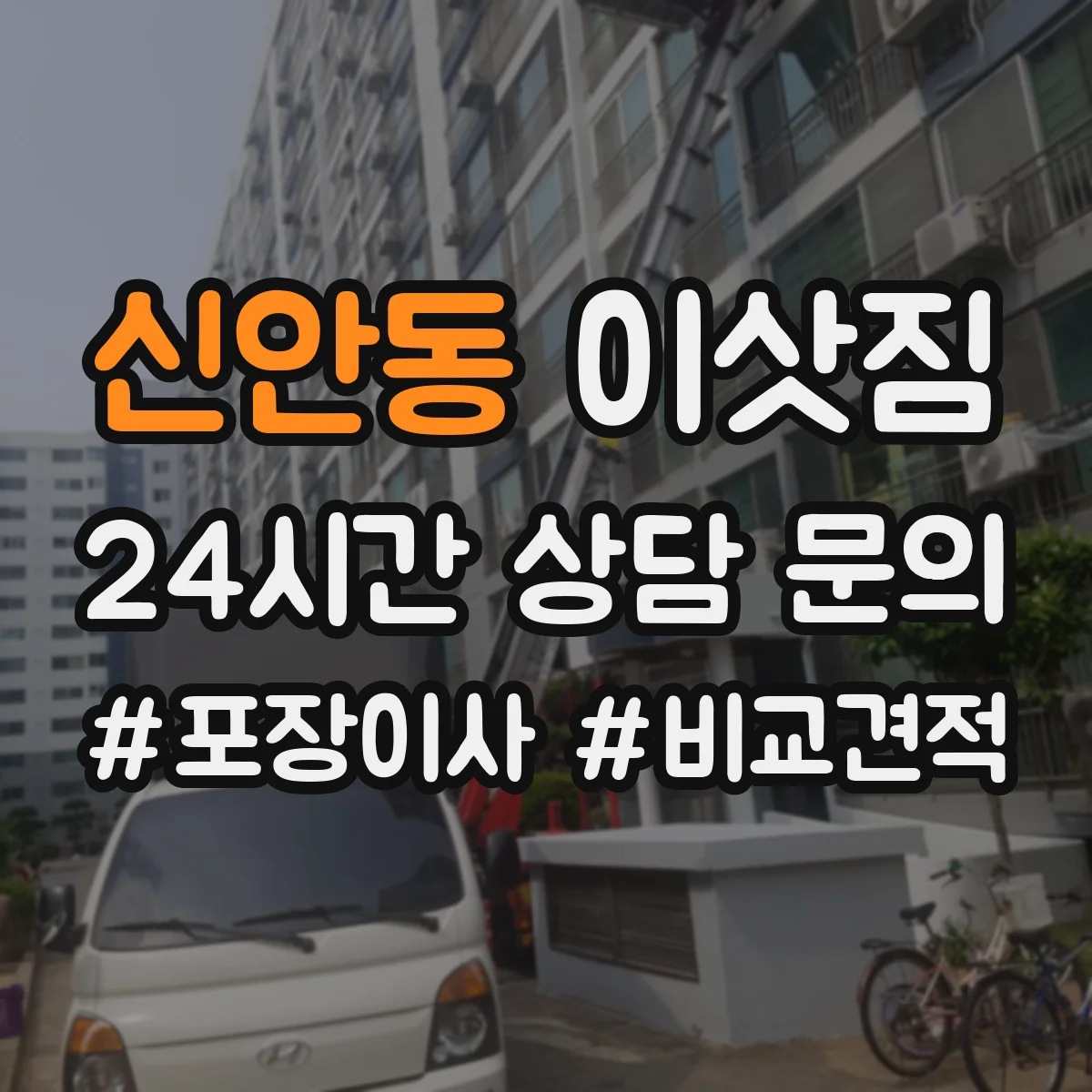 신안동 이삿짐