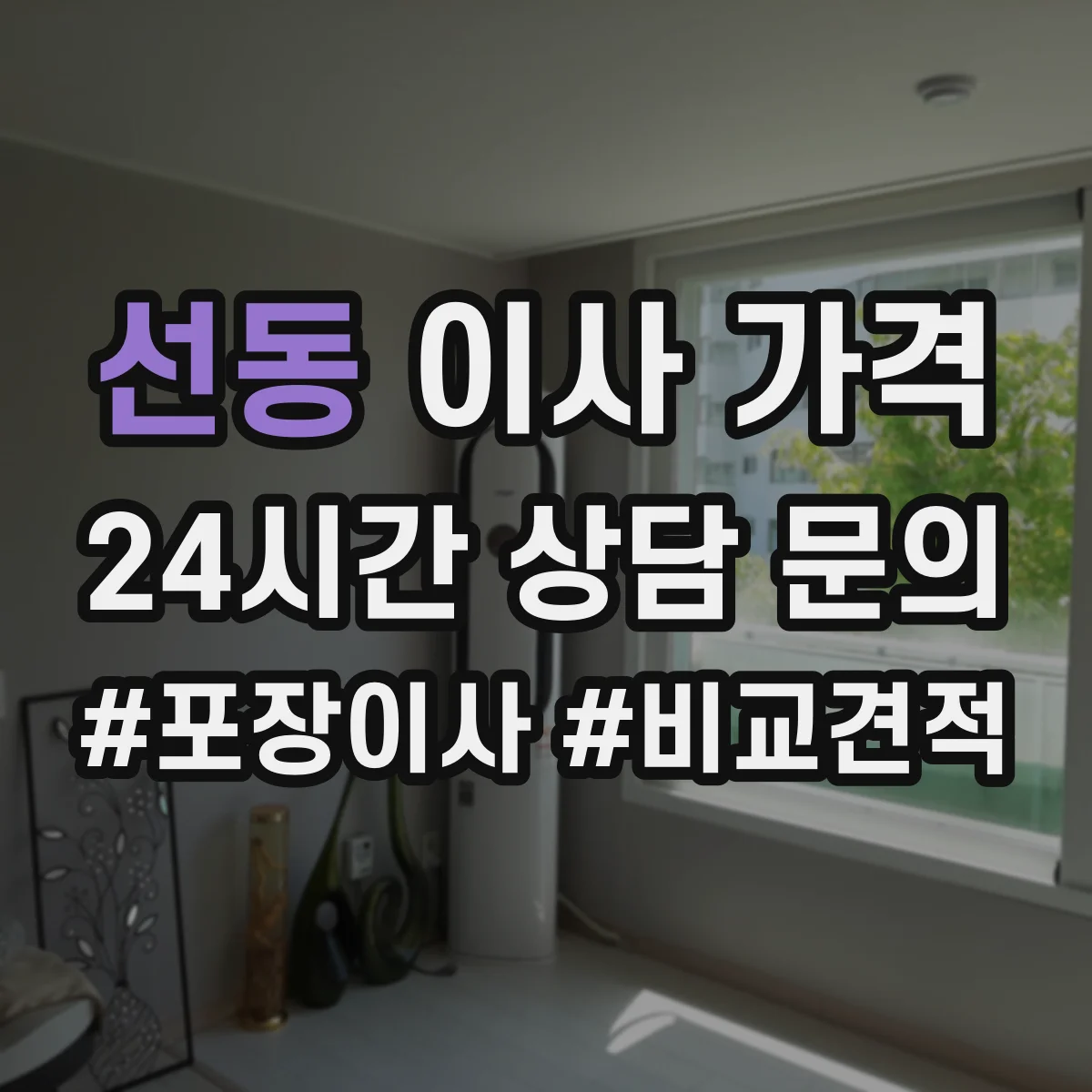 선동 이사 가격