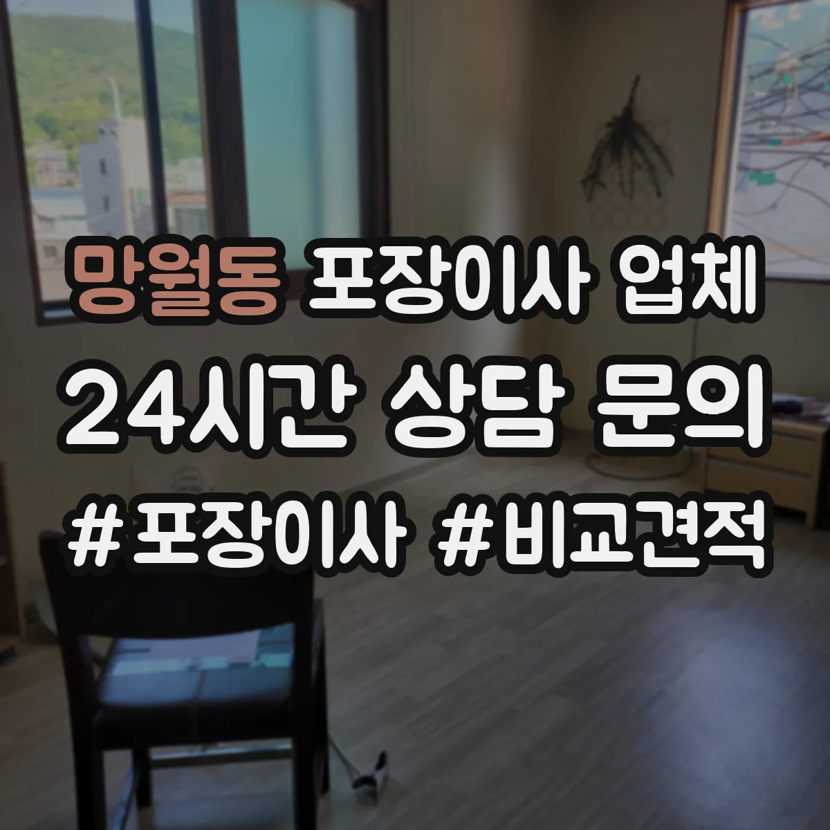 망월동 포장이사 업체