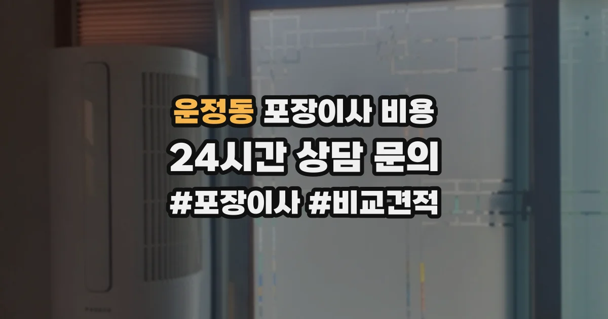 운정동 포장이사 비용