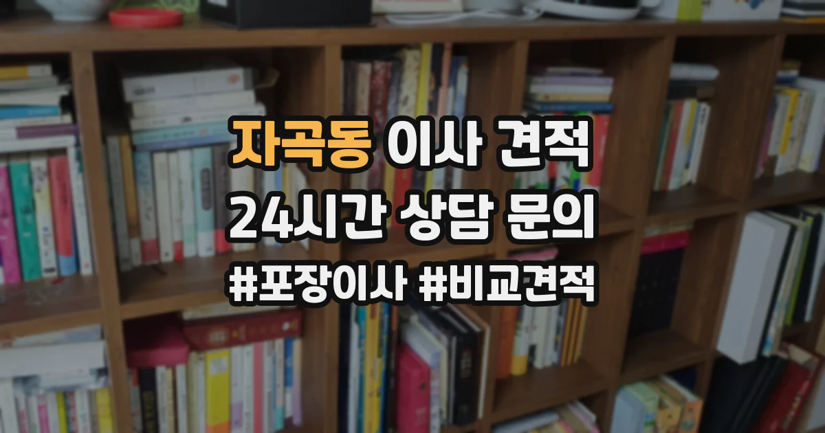 자곡동 이사 견적