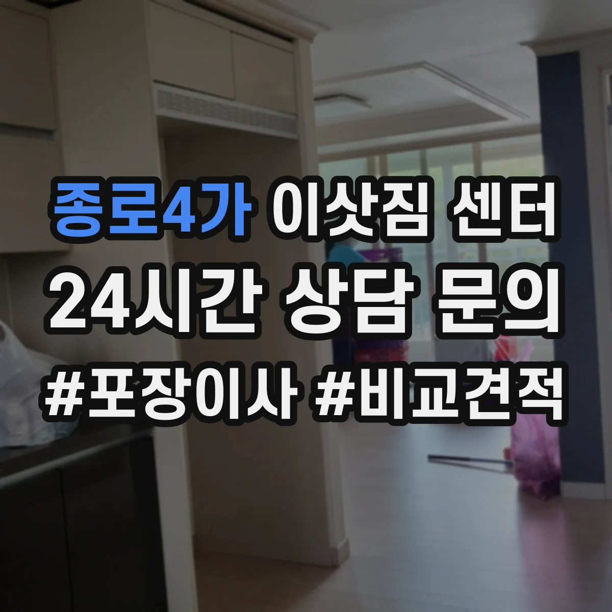 종로4가 이삿짐 센터 새집 통로 정리해 반려동물 첫 적응 동선 돕기