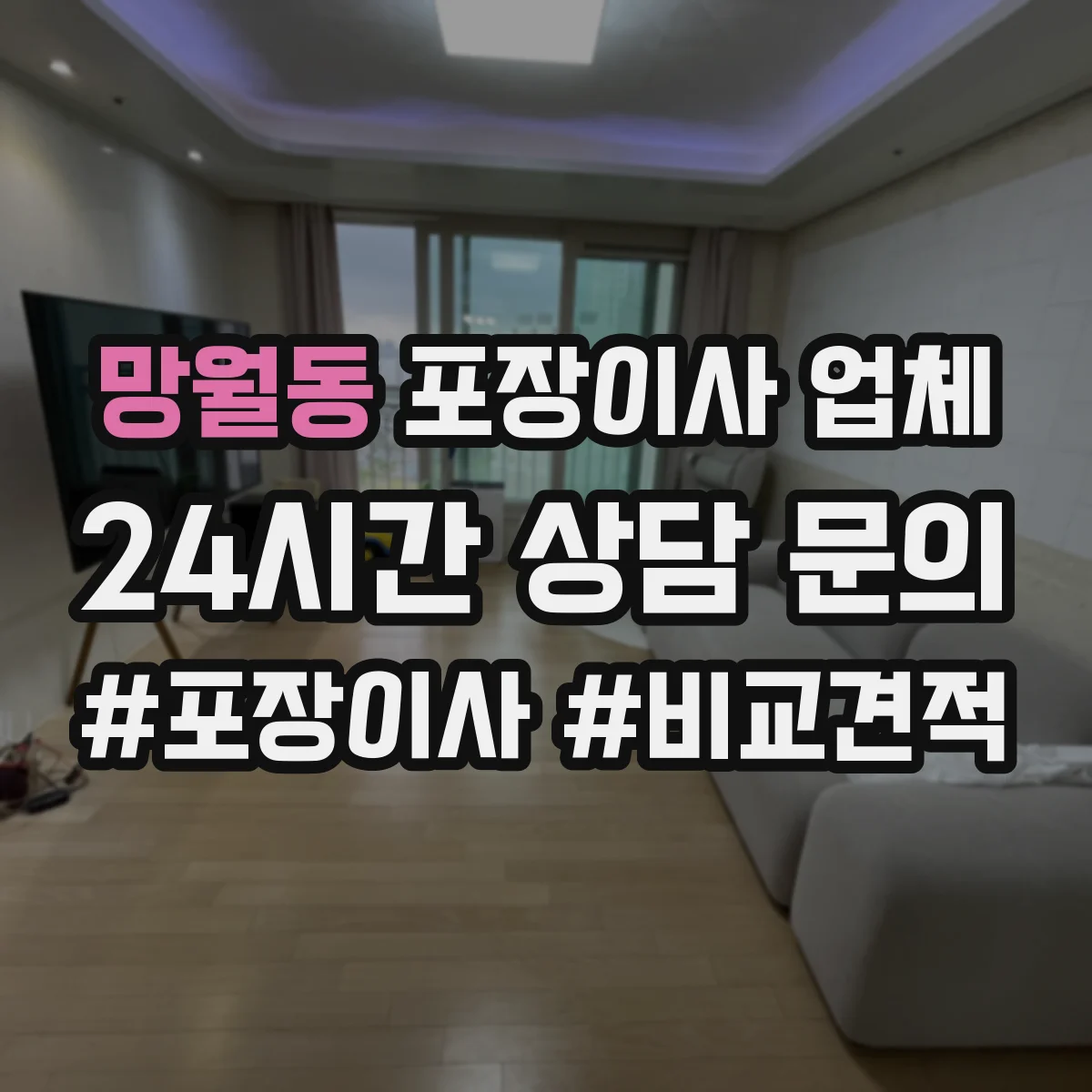 망월동 포장이사 업체