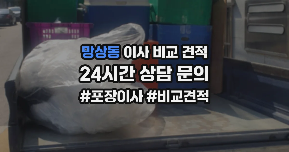 망상동 이사 비교 견적