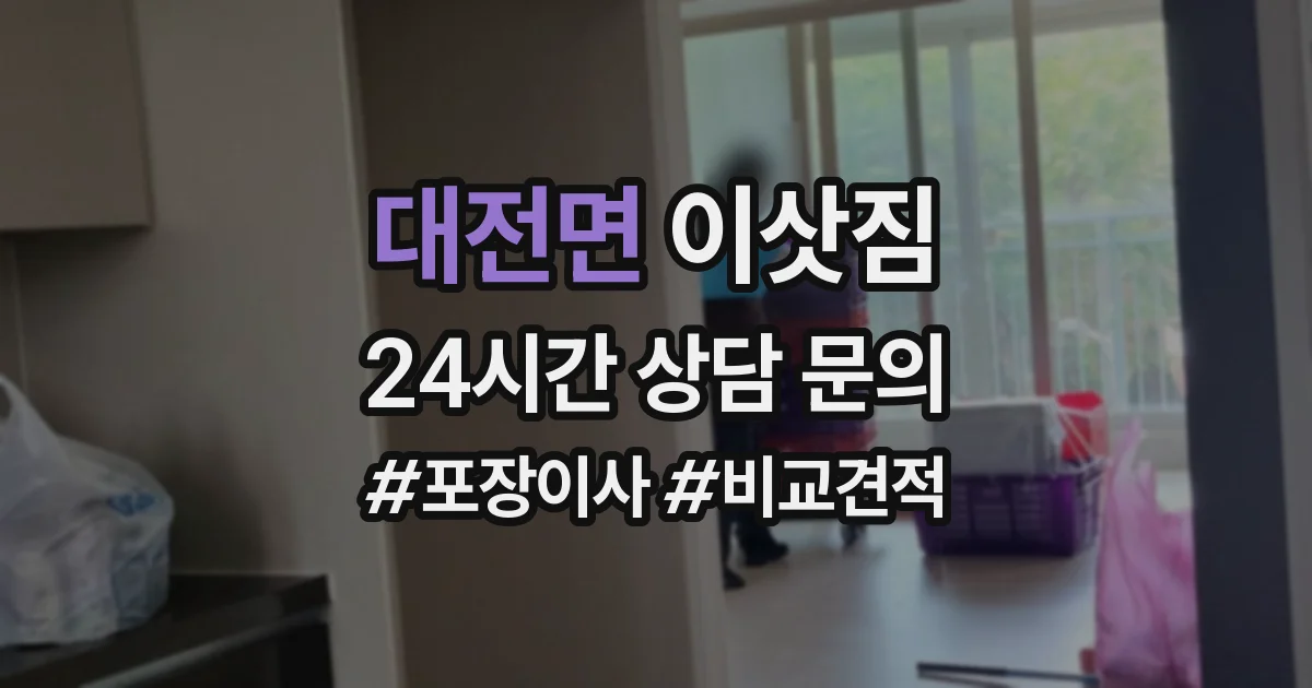 대전면 이삿짐