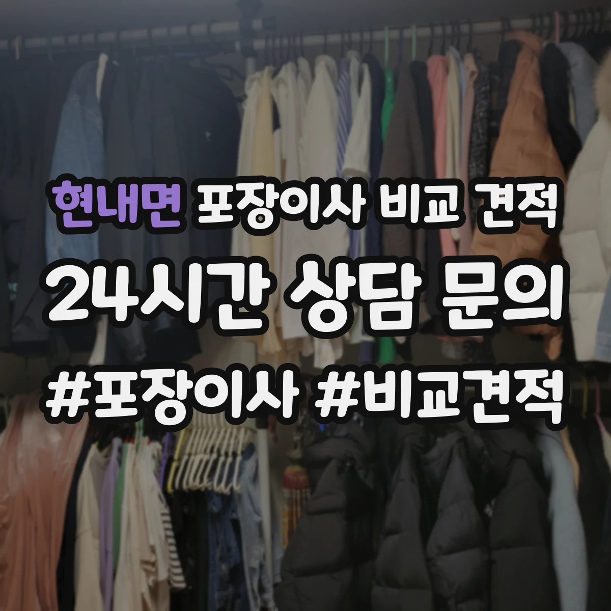 현내면 포장이사 비교 견적