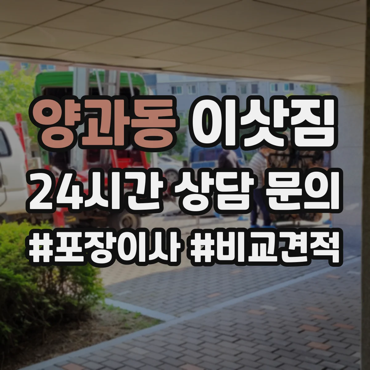 양과동 이삿짐