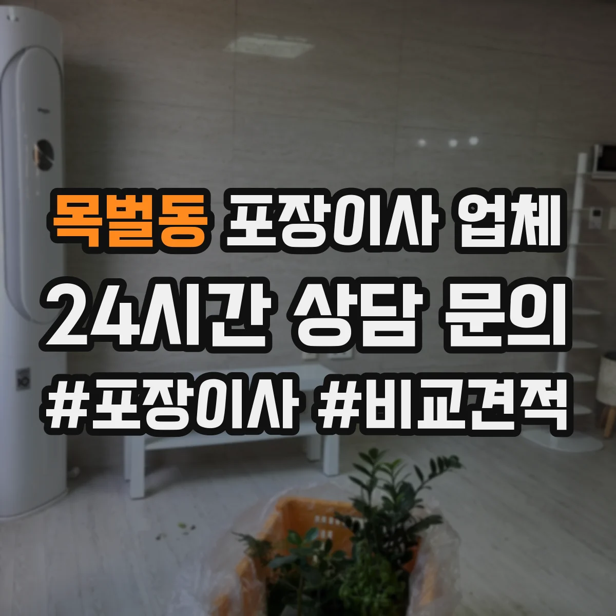 목벌동 포장이사 업체