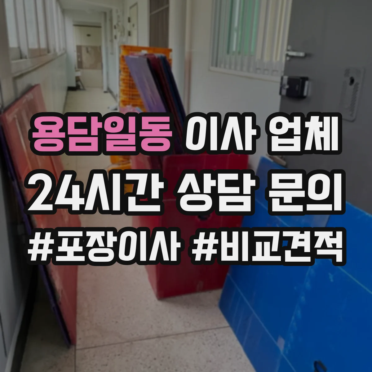 용담일동 이사 업체