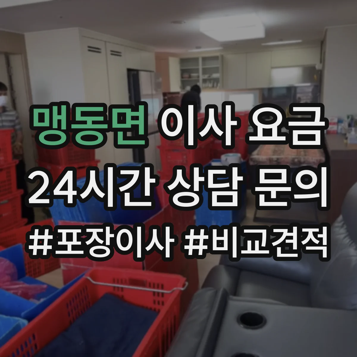 맹동면 이사 요금