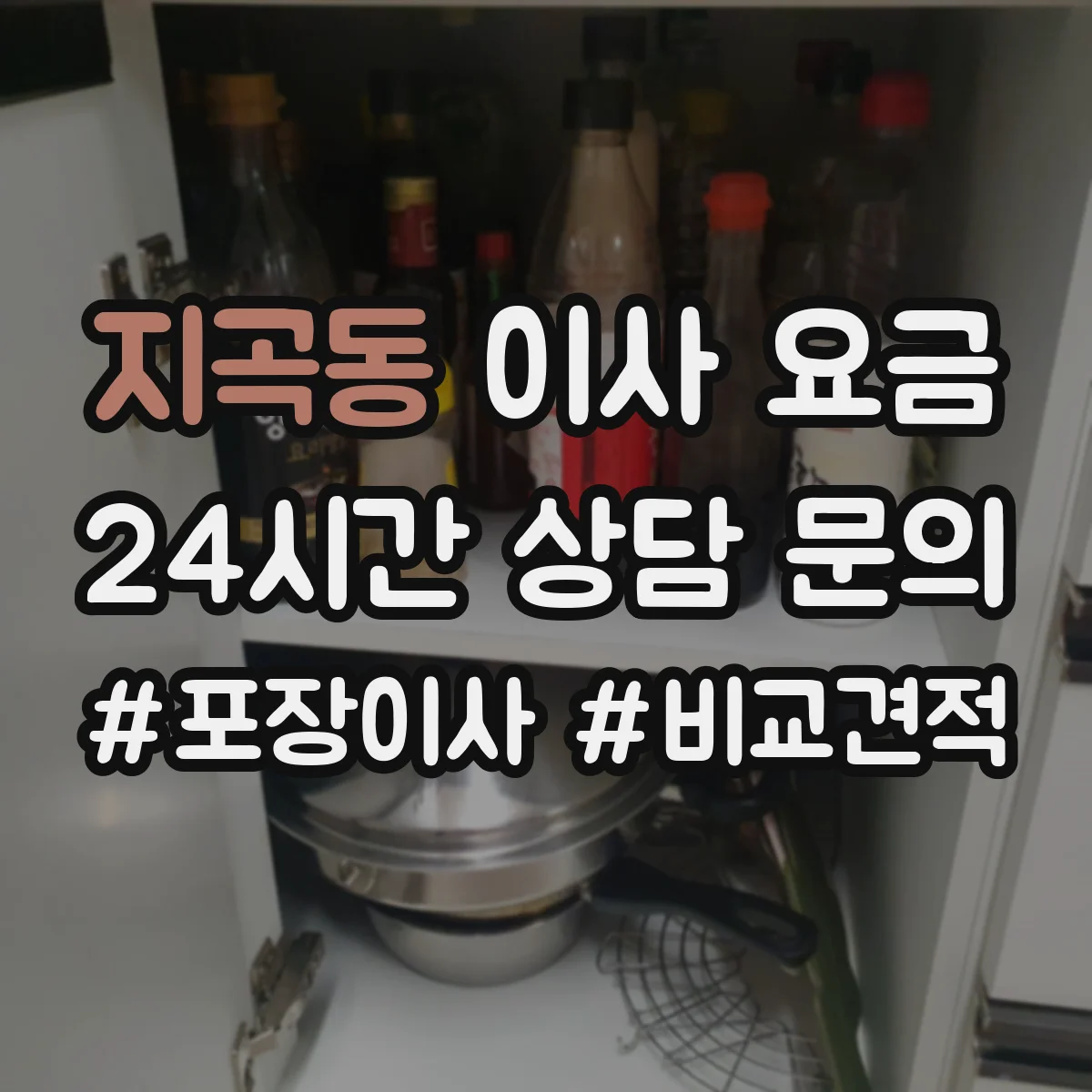지곡동 이사 요금