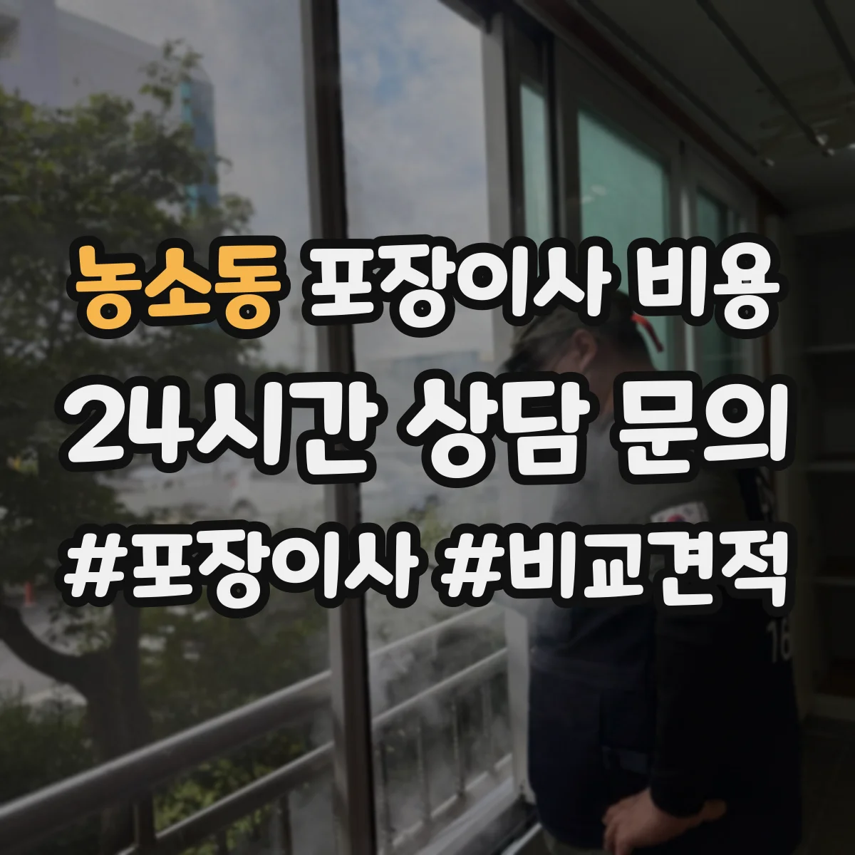 농소동 포장이사 비용