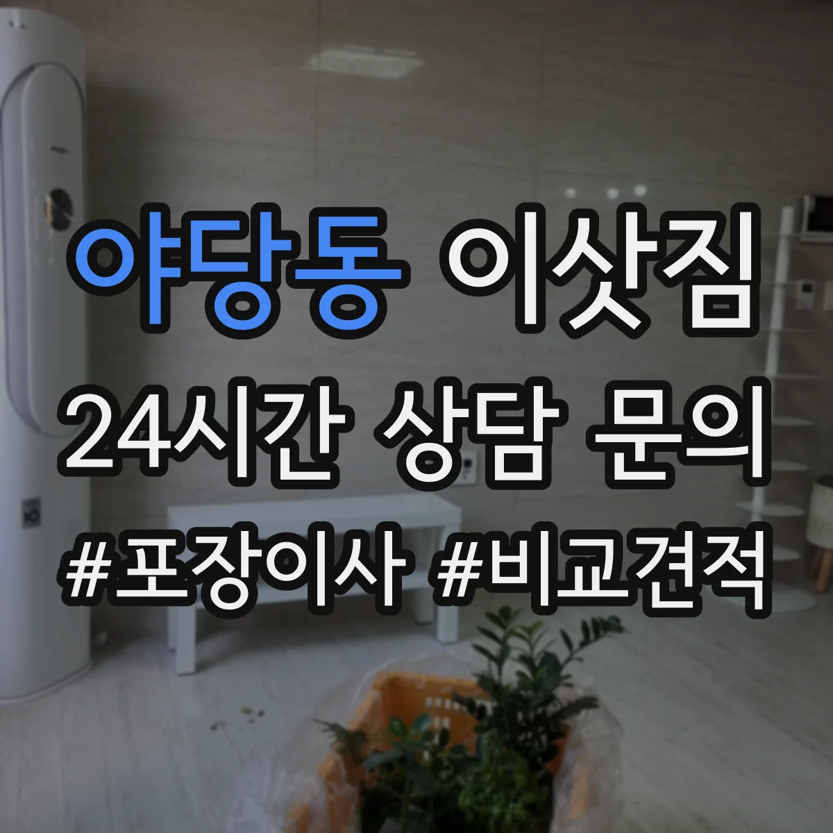야당동 이삿짐
