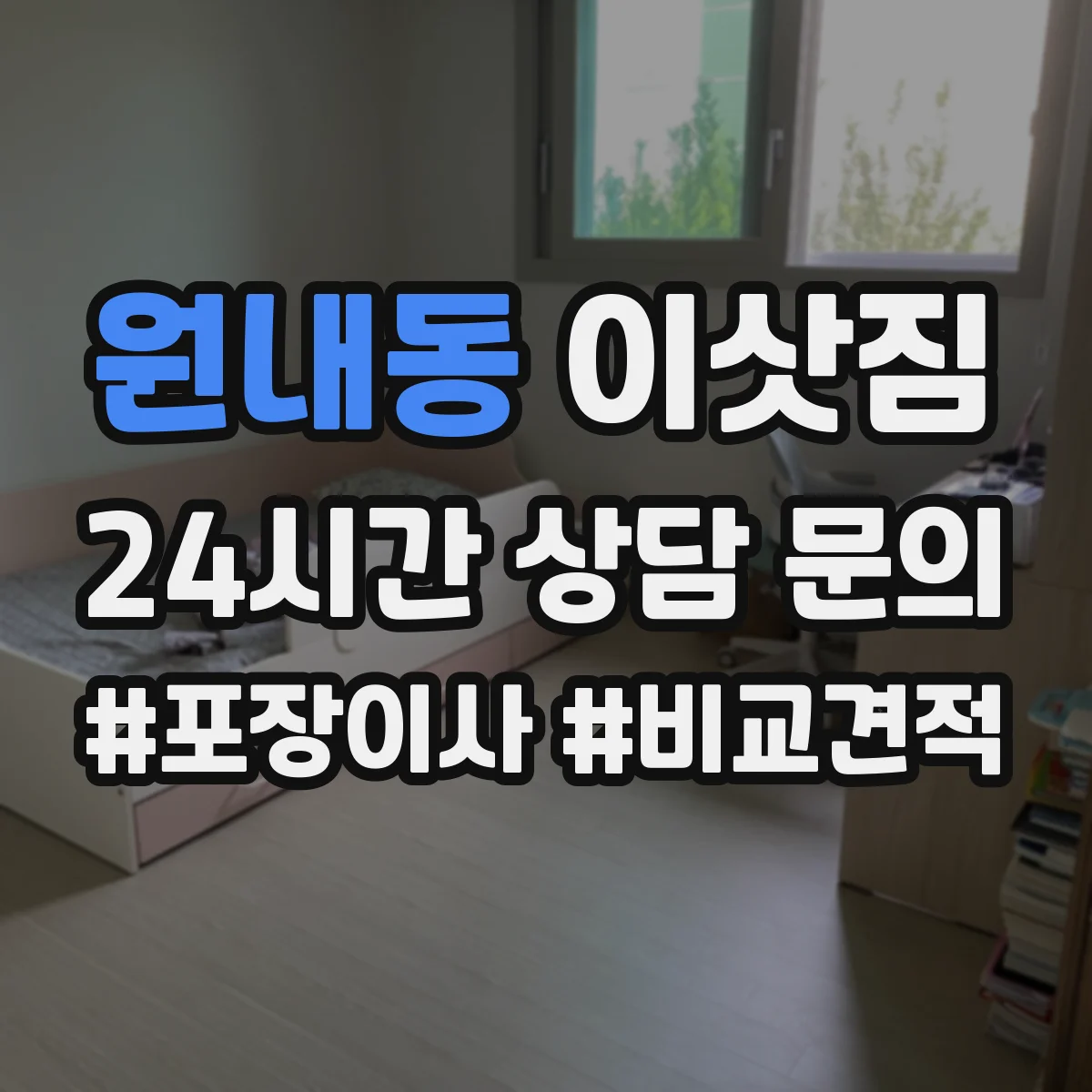 원내동 이삿짐