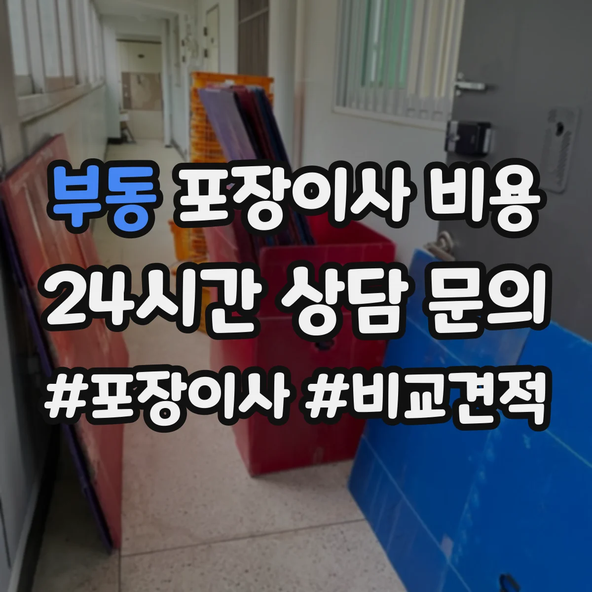 부동 포장이사 비용