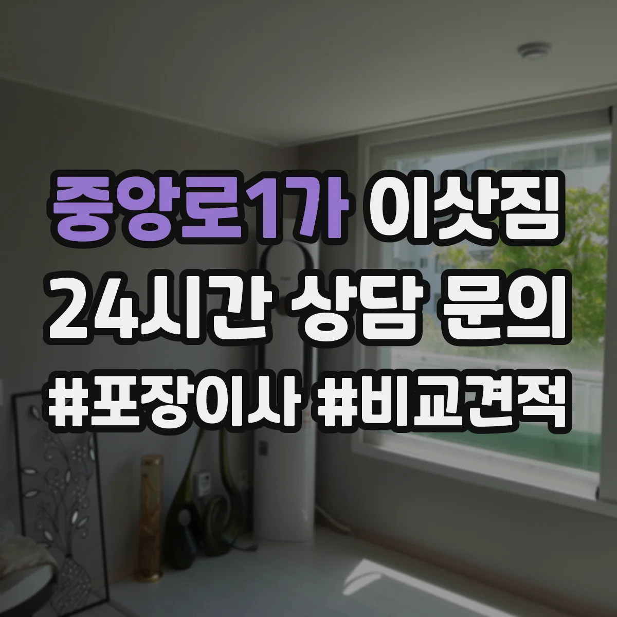 중앙로1가 이삿짐