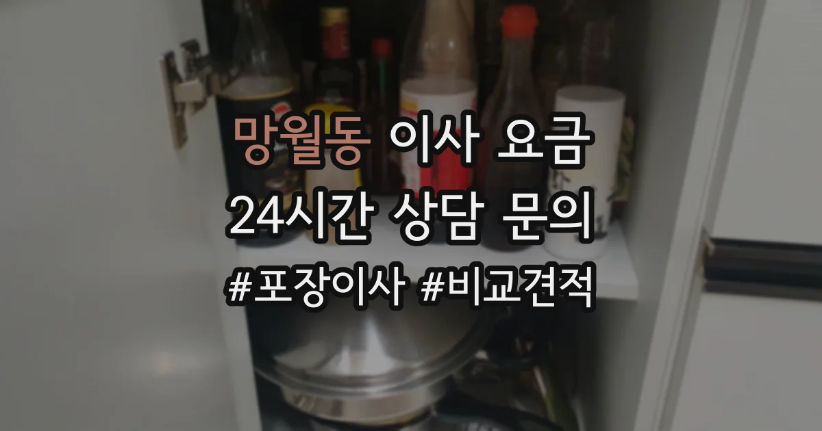 망월동 이사 요금