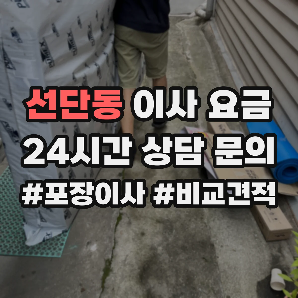 선단동 이사 요금