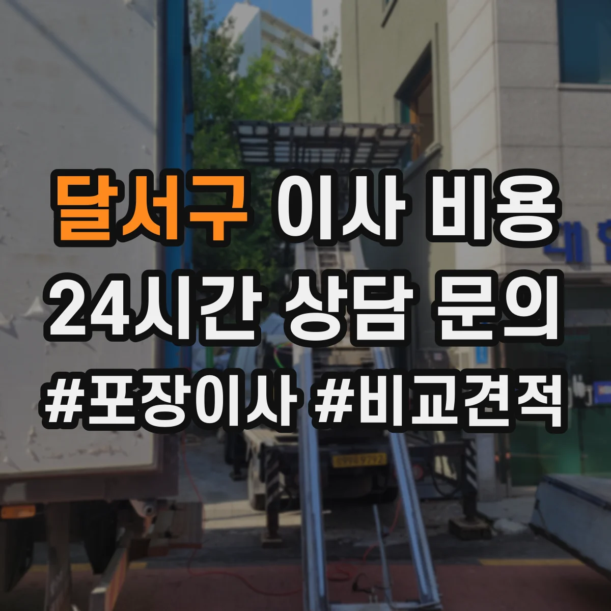 달서구 이사 비용