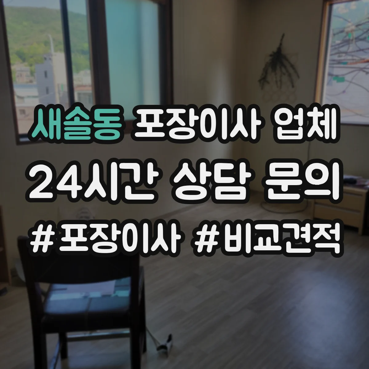 새솔동 포장이사 업체
