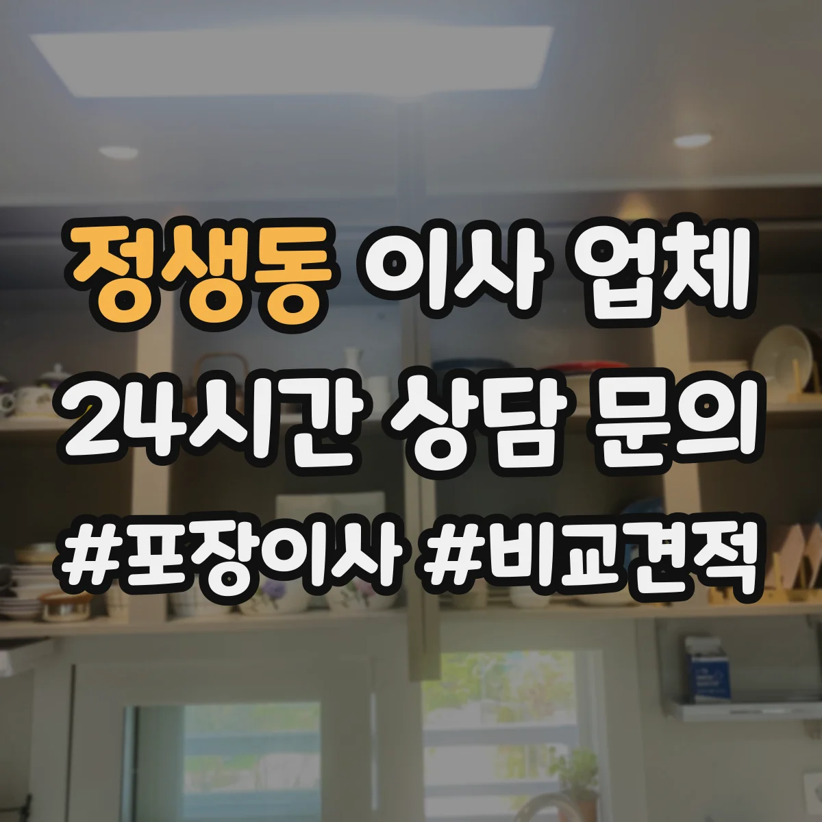 정생동 이사 업체