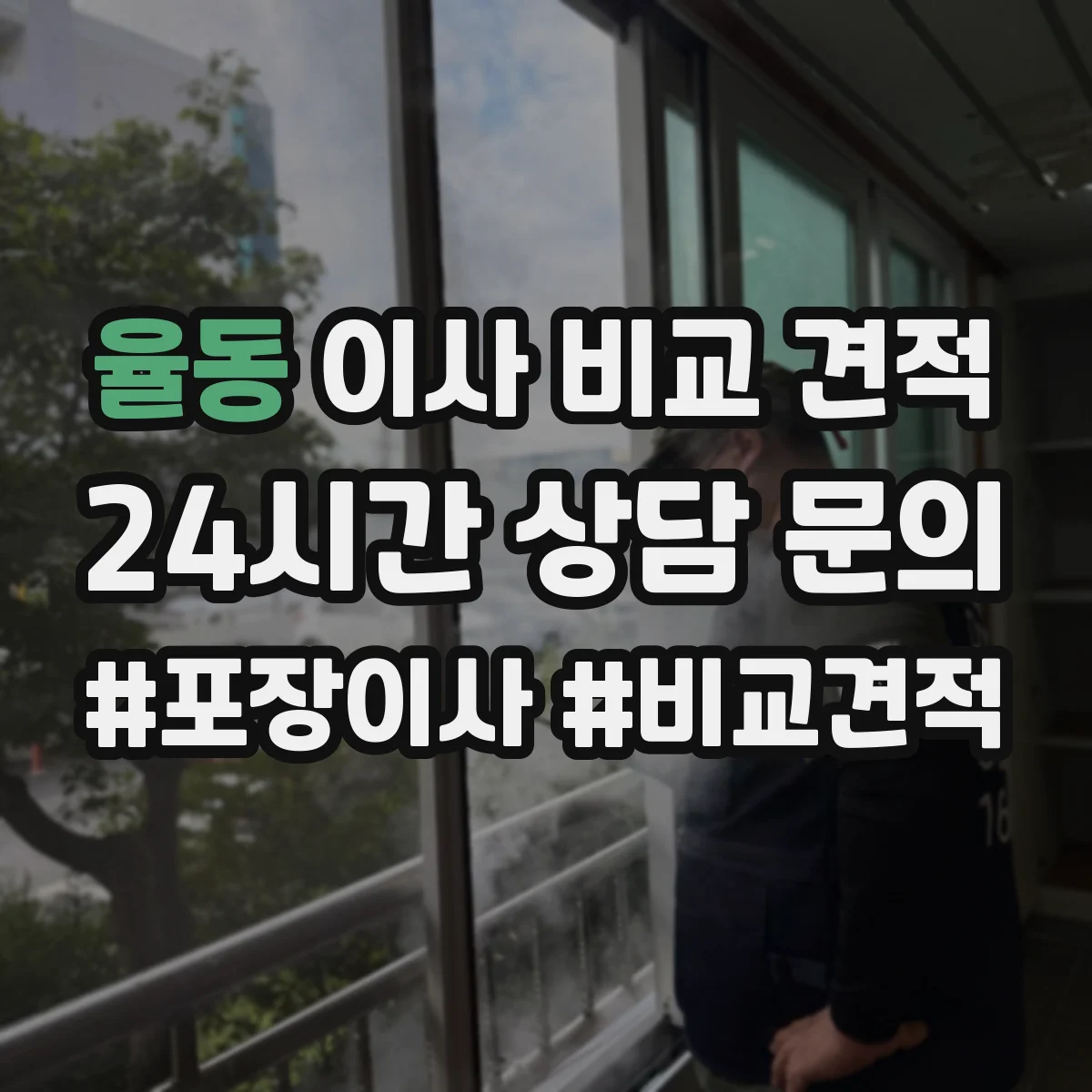 율동 이사 비교 견적