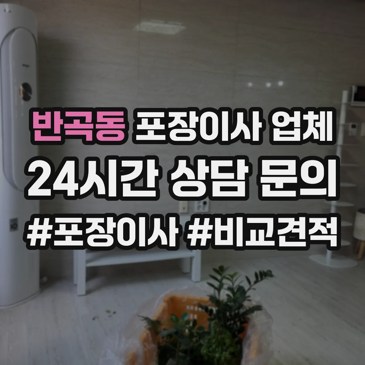 반곡동 포장이사 업체