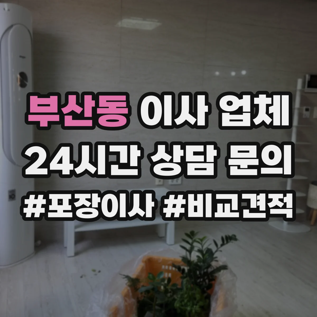 부산동 이사 업체