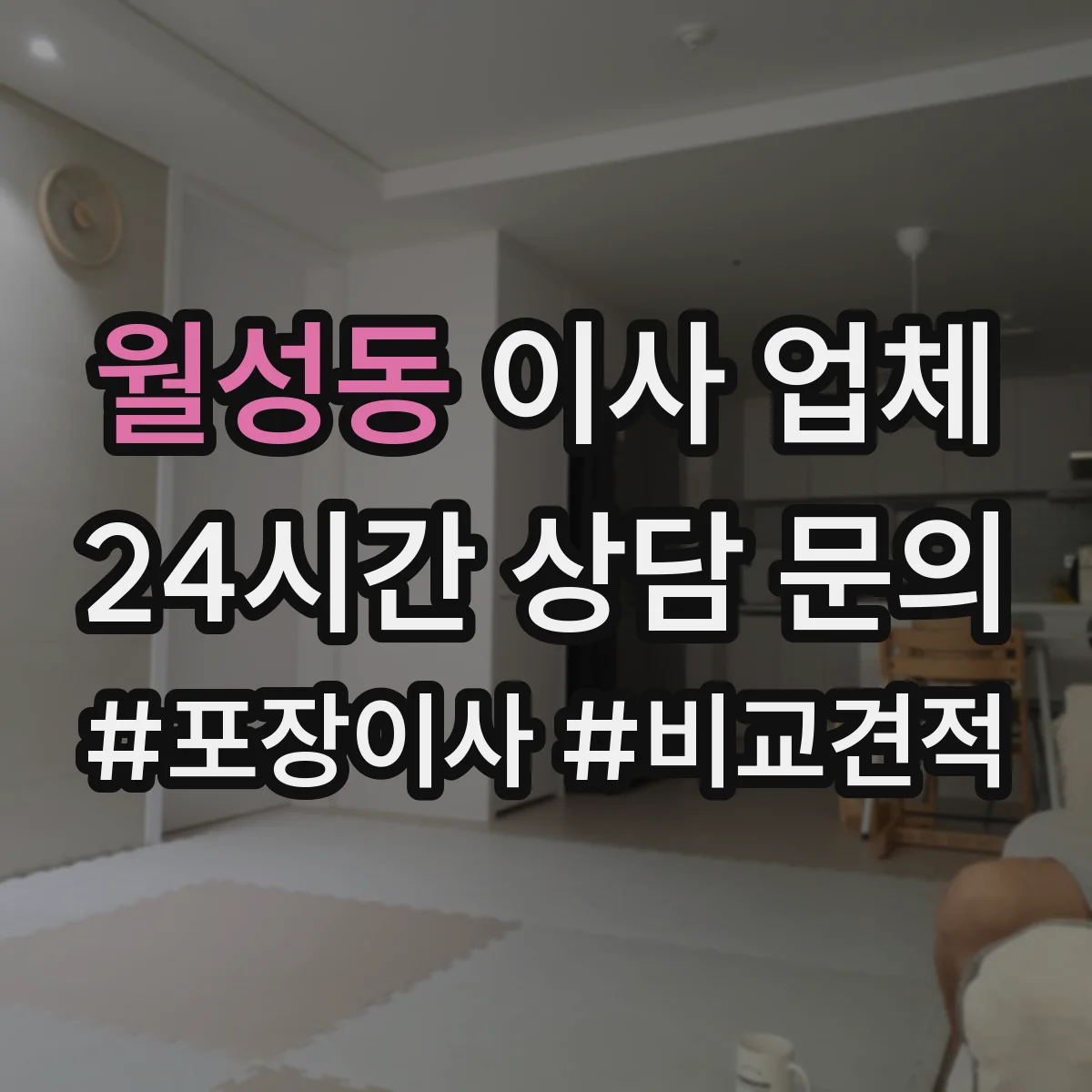 월성동 이사 업체