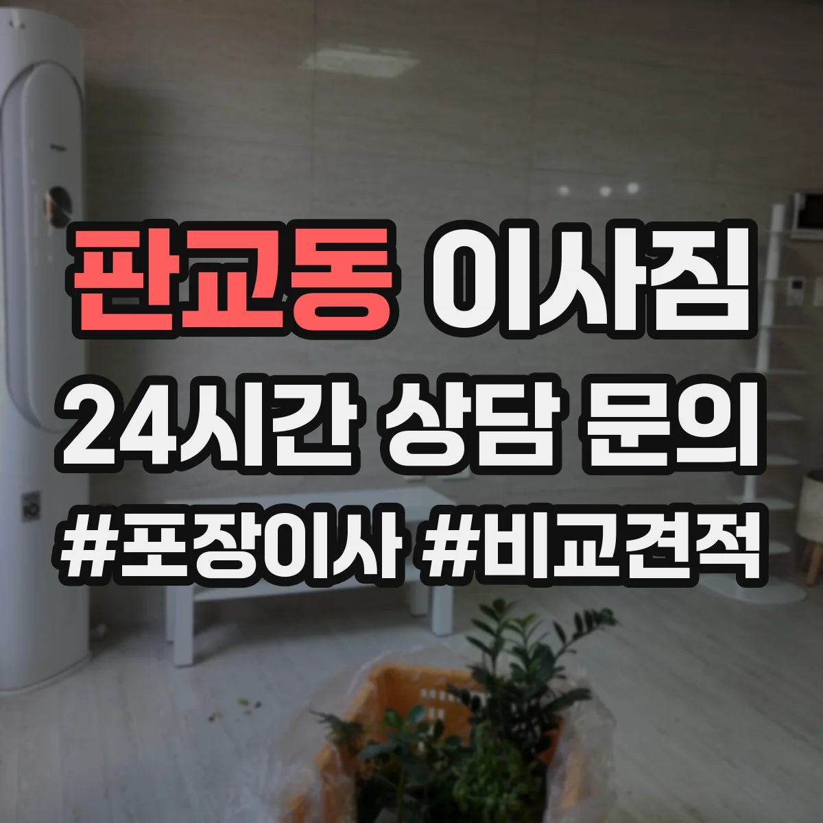 판교동 이사짐