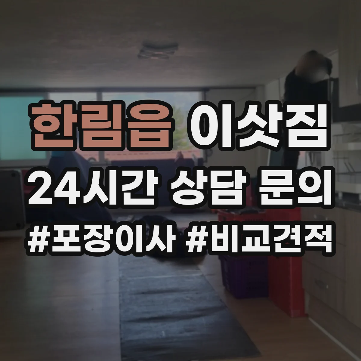 한림읍 이삿짐
