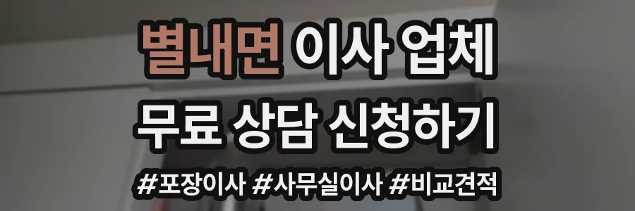 별내면 이사 업체