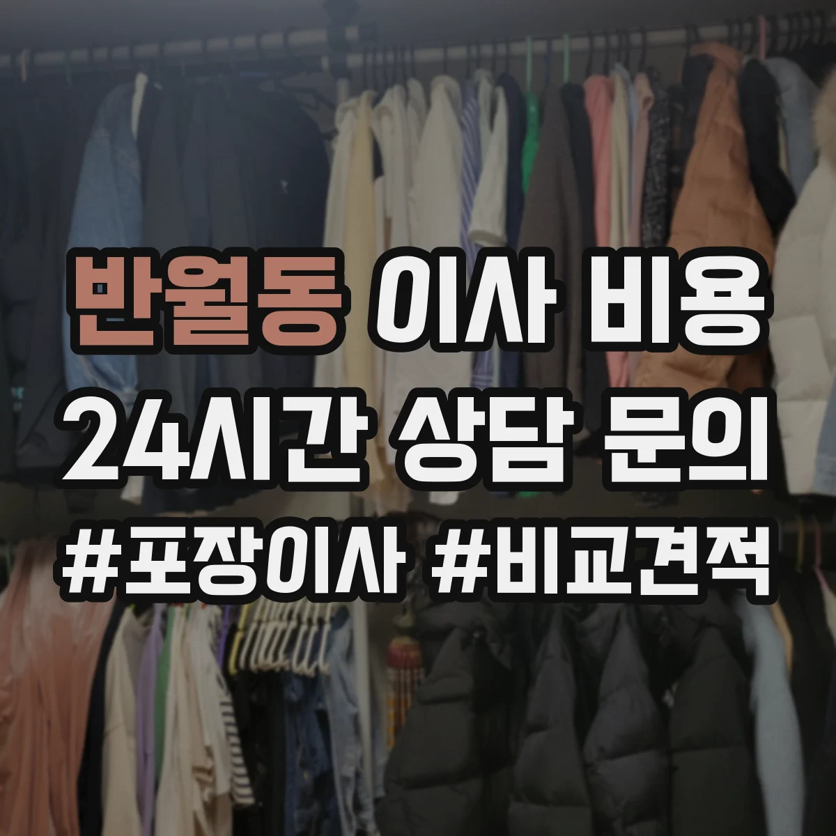 반월동 이사 비용