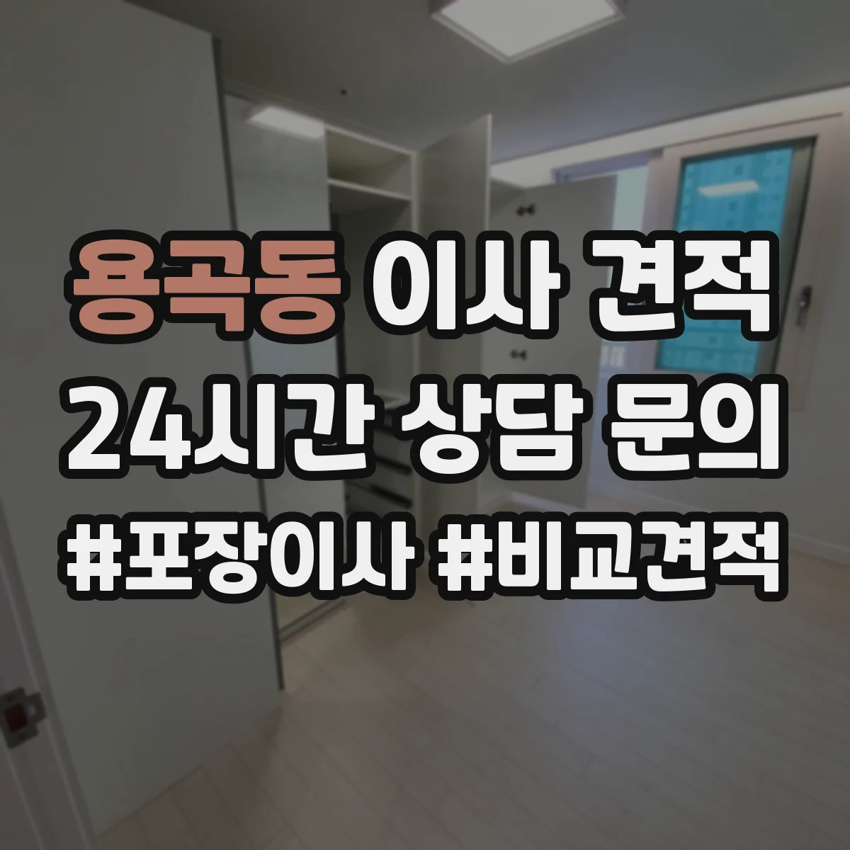 용곡동 이사 견적