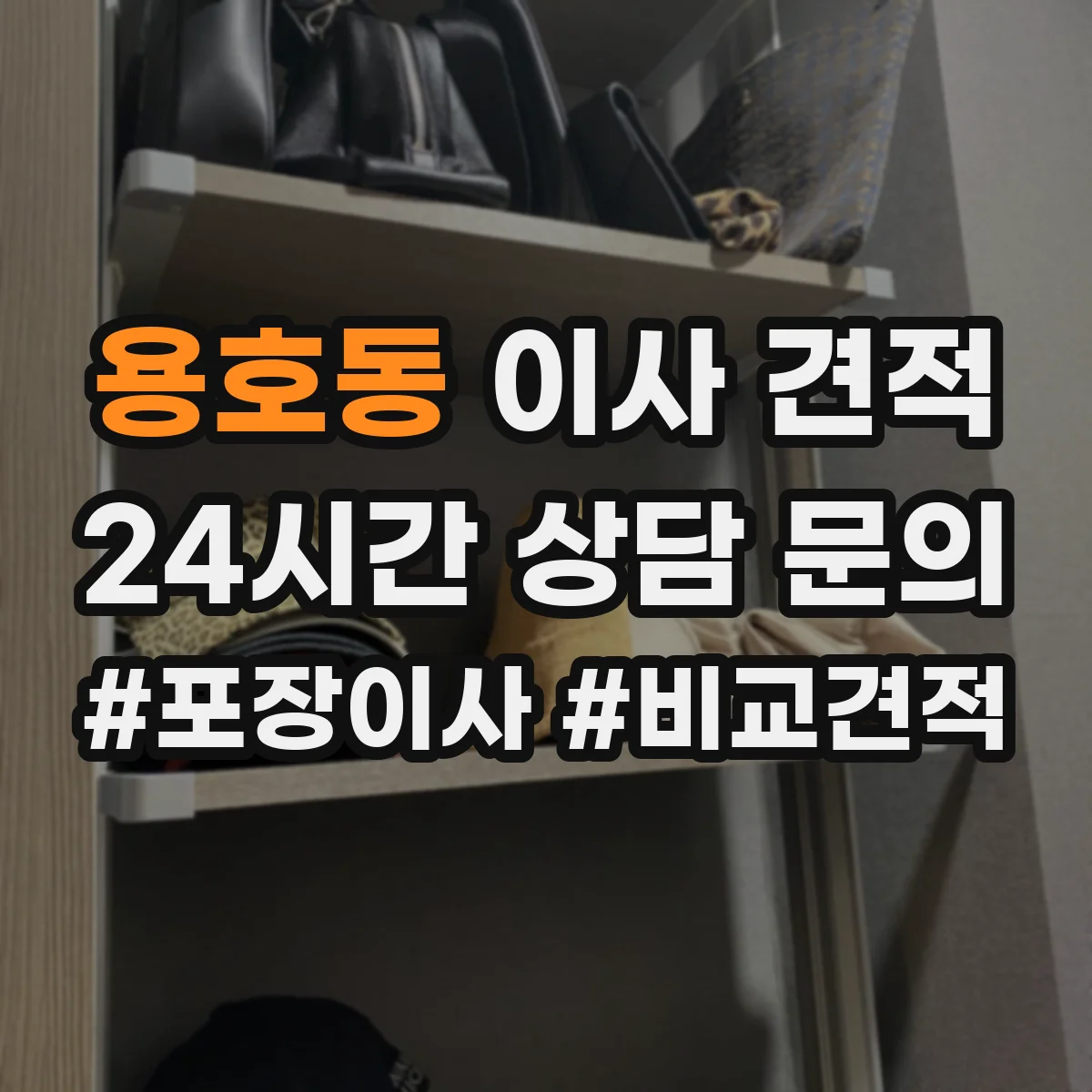 용호동 이사 견적